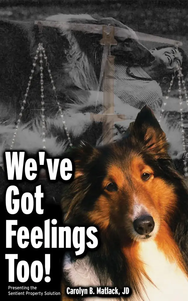 Carolyn book cover front