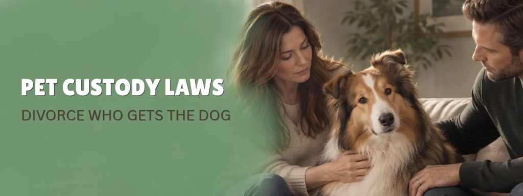 Pet Custody Laws